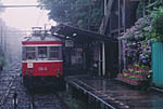 Rainny hydrangea --Hakone climbing railway (Kanagawa Japan)